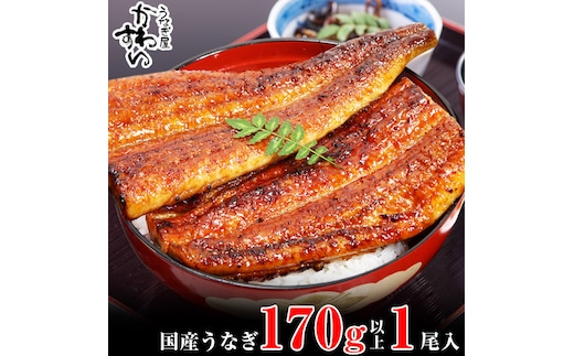 特大サイズ国産うなぎ蒲焼き170ｇ 1本セット(A1003-1)