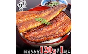 国産うなぎ蒲焼120ｇ 1本セット(A1001-1)