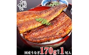 特大サイズ国産うなぎ蒲焼き170ｇ 1本セット(A1003-1)
