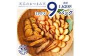 【天乙商店】おつまみ天ミックス 180ｇ×3袋×3箱 計1620ｇ(A1082-2)