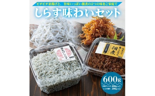 しらす味わいセット(釜あげしらす400g・しらすの佃煮200g)(A1173-1)