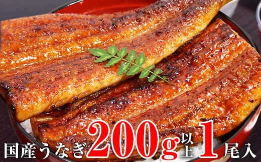 超特大サイズ国産うなぎ蒲焼き1本（200～229g）(A1174-1)
