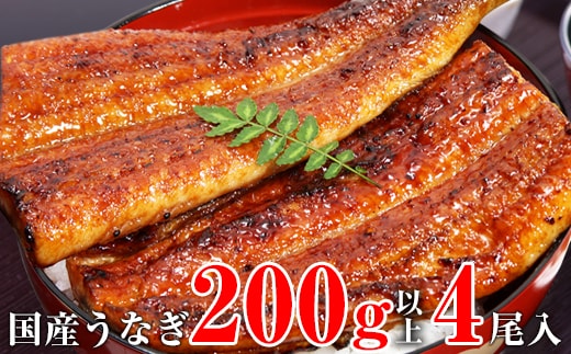 超特大サイズ国産うなぎ蒲焼き4本セット（1本あたり200～229g）(A1176-1)