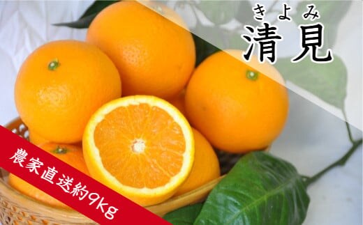 清見（きよみ）（約9㎏）(A136-1)