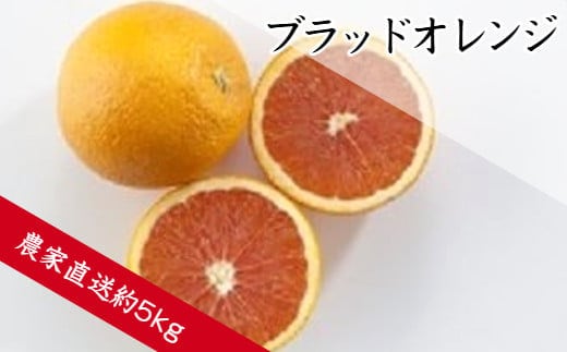 ブラッドオレンジ（約5㎏）（A143-1）