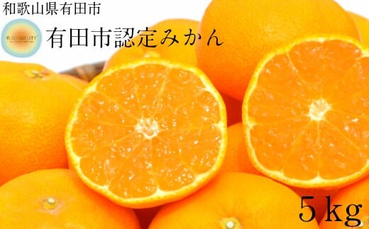 有田みかん「有田市認定みかん(5kg)」【日本初自治体認定フルーツ】(A1