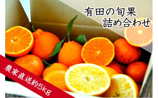 有田の旬果 詰め合わせ(A152-1)