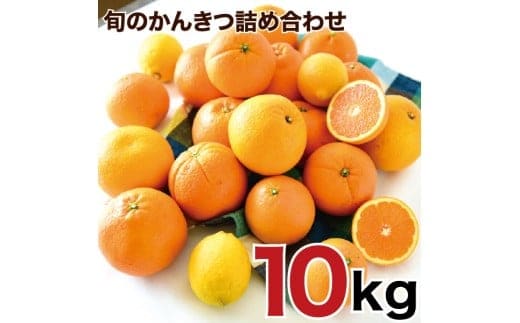 特選 旬のかんきつ詰め合わせ 10kg（A156-4）