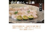 プレミア和歌山の辰ヶ鱧！鱧しゃぶセット２～３人前(A185-2)