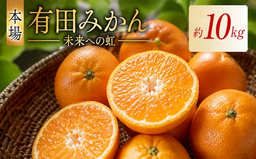 有田みかん「未来への虹」（10kg）(A2-2)
