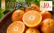 有田みかん「未来への虹」（10kg）(A2-2)