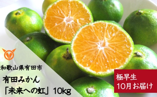 【10月お届け】有田みかん「未来への虹」（10kg）(A233-2)