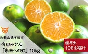 【10月お届け】有田みかん「未来への虹」（10kg）(A233-2)