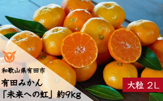 【大粒･2L】有田みかん「未来への虹」（約9kg）(A240-2)