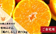 有田みかん「風のしるし」（約10kg）(A241-2)