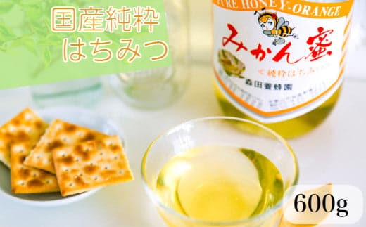 国産純粋はちみつ(みかん蜜) 600g(A163-1)