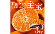 有田市認定みかん「未来への虹」至宝(3kg)【日本初自治体認定フルーツ】(A327-2) 