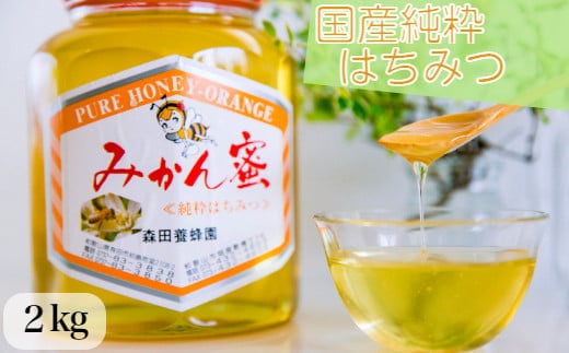 国産純粋はちみつ(みかん蜜) 2kg(A89-1)
