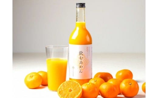 【早和果樹園】飲むみかん12本入（720ml）（A346-2）