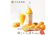 【早和果樹園】味こいしぼり（720ml×12本）（A348-2)