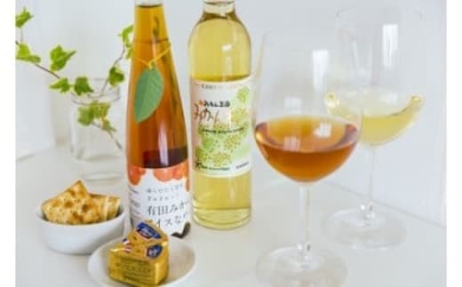 有田みかん氷結ワインとみかんわいんギフト(A94-1)