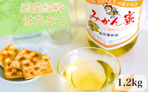 国産純粋はちみつ(みかん蜜) 1.2kg(A14-1)