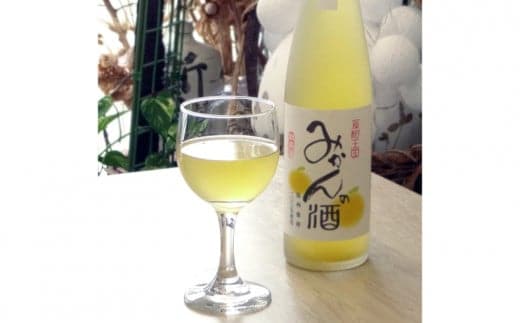 有田みかんの酒(ワイン)2本セット(A417-1)