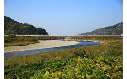 181 ふるさとのお墓清掃・献花サービス(A181-1)