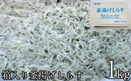 箱入り釜揚げしらす１ｋｇ(A205-1)