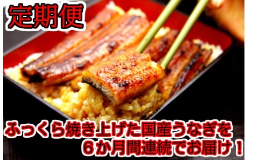 【定期便】国産うなぎ蒲焼大サイズ２本セット（６か月お届け）(A265-1)