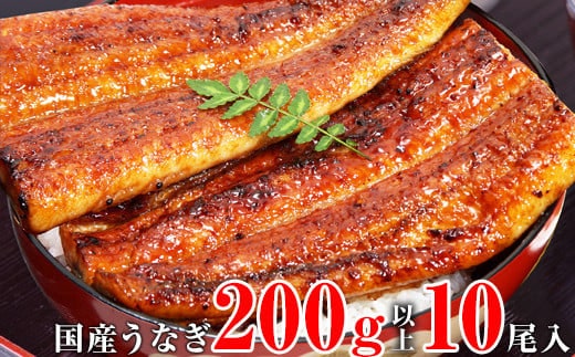 超特大国産うなぎ10本セット （200～229g）(A269-1)