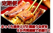 【定期便】国産うなぎ蒲焼大サイズ２本セット（６か月お届け）(A265-1)