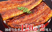 国産うなぎ蒲焼2本セット（120～149g）(A268-1)