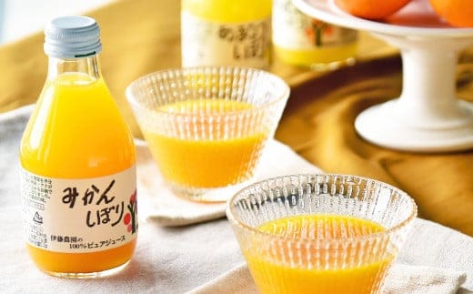 伊藤農園 100％ピュアジュース10本 ギフトセット(A305-1)