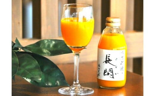 有田市認定みかんジュース「長閑(のどか)」200ml×12本(A308-1)