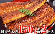 特大サイズ国産うなぎ蒲焼き２本セット   (A318-1)