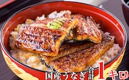 国産うなぎ蒲焼きカット1kgセット (A59-2)
