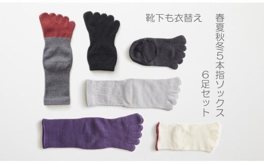 5本指ソックス春夏秋冬セット(22-24㎝)(A422-3)