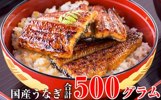国産うなぎ蒲焼きカット500gセット (A448-1)