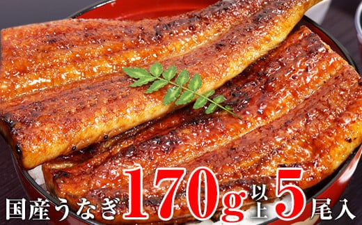 特大サイズ国産うなぎ蒲焼き5本セット（合計850g）(A490-1)