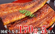 特大サイズ国産うなぎ蒲焼き5本セット（合計850g）(A490-1)