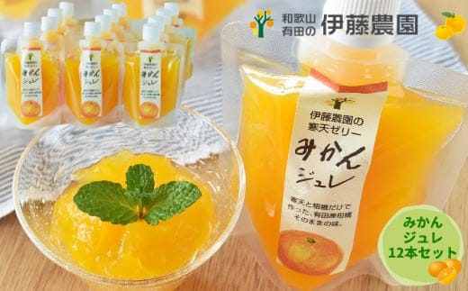 523. 伊藤農園 ピュアフルーツ寒天ジュレ ドリンクタイプ 温州みかん12本セット(A523-3)