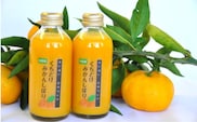 くちどけみかんしぼり（180ml×10本）(A543-1)