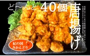 紀の国みかんどり　特選唐揚げ40個セット(A582-1)