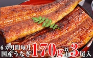【定期便】国産うなぎ蒲焼き特大サイズ３本セット（６ヶ月お届け）(A585-1)