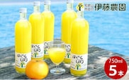 伊藤農園100％ピュアジュースはっさくしぼり750ml×5本（A607-2）