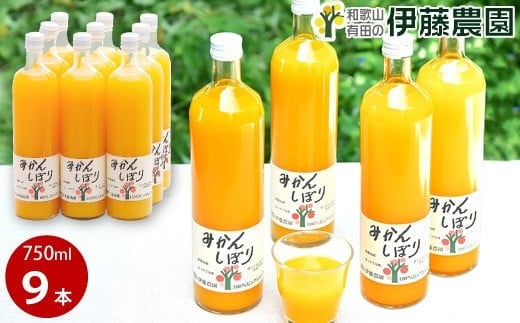伊藤農園 100％ピュアジュース みかんしぼり750ml×9本（A636-3）