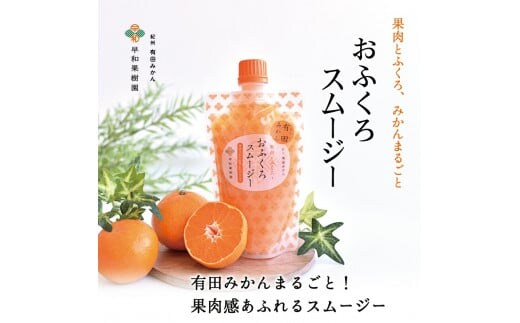 【早和果樹園】おふくろスムージー有田みかん20本入 飲むタイプのみかんゼリー(A623-3)