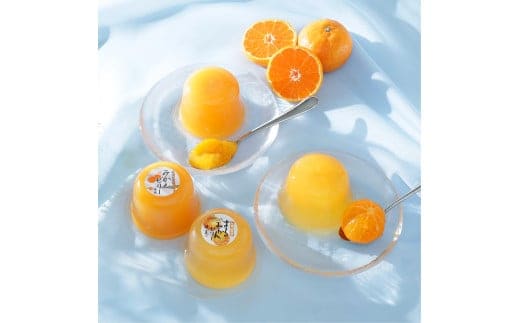 有田みかんゼリー食べ比べセット12個入り（A681-1）