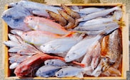 漁師の鮮魚箱（約4kg）(A890-3)